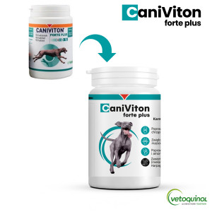 VETOQUINOL Caniviton forte plus