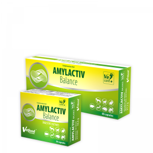 Amylactiv Balance