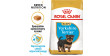 ROYAL CANIN BHN Yorkshire Terrier Puppy 29 7,5kg PROMO Krótki termin