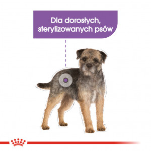 ROYAL CANIN CCN Mini Sterilised karma sucha dla psów dorosłych ras małych, sterylizowanych