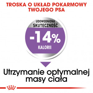 ROYAL CANIN CCN Mini Sterilised karma sucha dla psów dorosłych ras małych, sterylizowanych