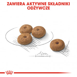 ROYAL CANIN CCN Mini Sterilised karma sucha dla psów dorosłych ras małych, sterylizowanych