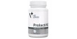 VETEXPERT ProlactiNO Large Breed 40 tab.