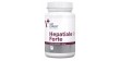 VETEXPERT Hepatiale Forte Large Breed 40 tab.