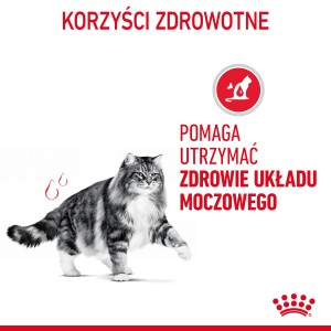 ROYAL CANIN Urinary Care karma sucha dla kotów dorosłych, ochrona dolnych dróg moczowych