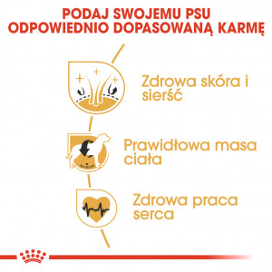 ROYAL CANIN Cocker Spaniel Adult karma sucha dla psów dorosłych rasy cocker spaniel