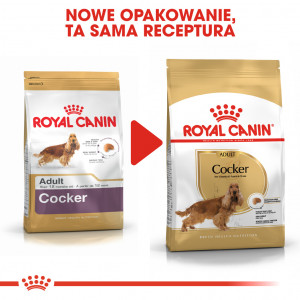 ROYAL CANIN Cocker Spaniel Adult karma sucha dla psów dorosłych rasy cocker spaniel