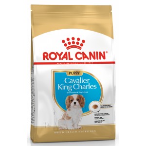 ROYAL CANIN Cavalier King Charles Puppy