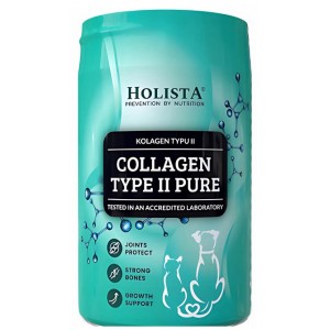 HOLISTA Collagen Type II PURE
