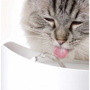 CATIT PIXI Fontanna dla kota 2,5l - jasnoróżowa