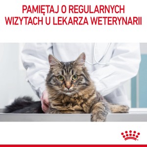 ROYAL CANIN Light Weight Care karma sucha dla kotów dorosłych, utrzymanie prawidłowej masy ciała