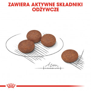 ROYAL CANIN CCN Mini Digestive Care