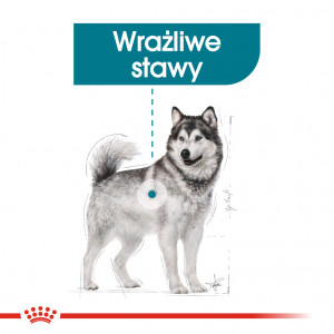 ROYAL CANIN CCN Maxi Joint Care