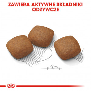 ROYAL CANIN CCN Maxi Joint Care