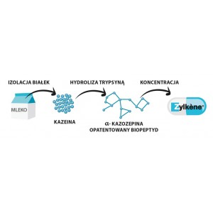 VETOQUINOL Zylkene - Na stres