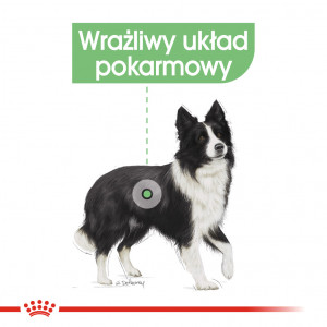 ROYAL CANIN Medium Digestive Care