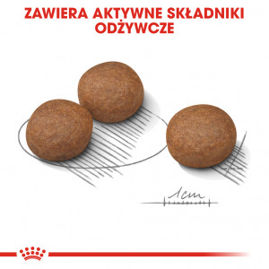 ROYAL CANIN Medium Digestive Care