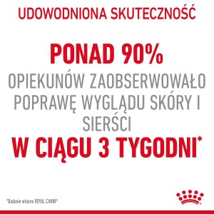 ROYAL CANIN Hair & Skin Care karma sucha dla kotów dorosłych, lśniąca sierść i zdrowa skóra