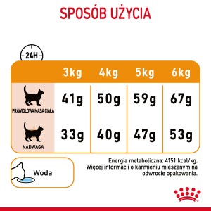 ROYAL CANIN Hair & Skin Care karma sucha dla kotów dorosłych, lśniąca sierść i zdrowa skóra
