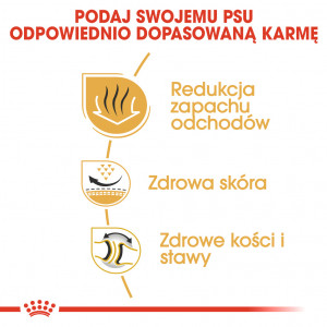 ROYAL CANIN Bulldog Adult karma sucha dla psów dorosłych rasy buldog
