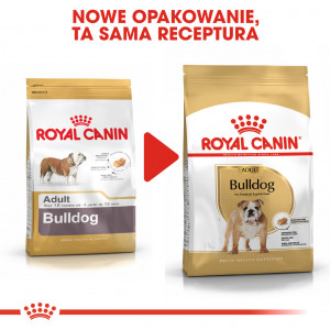 ROYAL CANIN Bulldog Adult karma sucha dla psów dorosłych rasy buldog