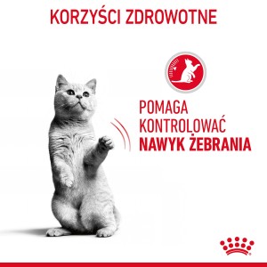 ROYAL CANIN Appetite Control Care karma mokra, plasterki w sosie dla kotów dorosłych uporczywie domagających się jedzenia