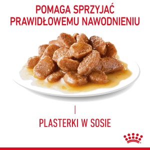 ROYAL CANIN Appetite Control Care karma mokra, plasterki w sosie dla kotów dorosłych uporczywie domagających się jedzenia