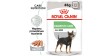 ROYAL CANIN CCN Digestive Care karma mokra - pasztet dla psów dorosłych o wrażliwym przewodzie pokarmowym