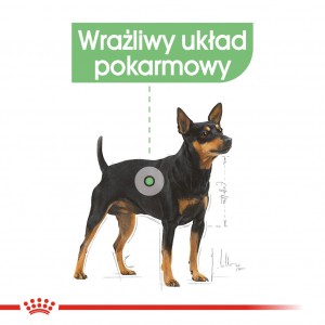 ROYAL CANIN CCN Digestive Care karma mokra - pasztet dla psów dorosłych o wrażliwym przewodzie pokarmowym