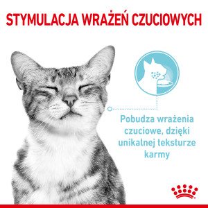 ROYAL CANIN Sensory Feel karma mokra - kawałki w sosie dla kotów dorosłych, pobudzająca percepcje tekstur 85g