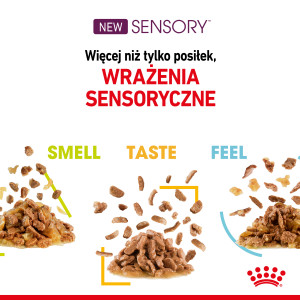 ROYAL CANIN Sensory Smell karma mokra - kawałki w sosie dla kotów dorosłych, pobudzająca wrażenia węchowe 85g