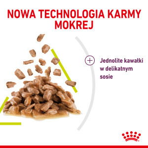 ROYAL CANIN Sensory Smell karma mokra - kawałki w sosie dla kotów dorosłych, pobudzająca wrażenia węchowe 85g