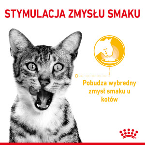 ROYAL CANIN Sensory Taste karma mokra - kawałki w sosie dla kotów dorosłych - pobudzająca wrażenia smakowe