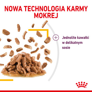 ROYAL CANIN Sensory Taste karma mokra - kawałki w sosie dla kotów dorosłych - pobudzająca wrażenia smakowe