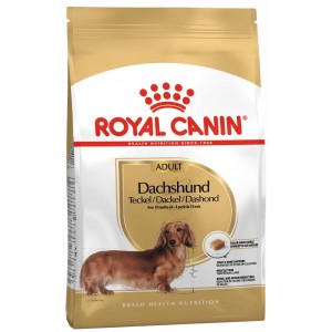 ROYAL CANIN Dachshund Adult karma sucha dla psów dorosłych rasy jamnik