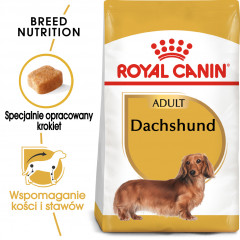 ROYAL CANIN Dachshund Adult karma sucha dla psów dorosłych rasy jamnik