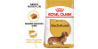 ROYAL CANIN BHN Dachshund Adult 28 7,5kg PROMO Krótki termin