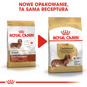 ROYAL CANIN Dachshund Adult karma sucha dla psów dorosłych rasy jamnik