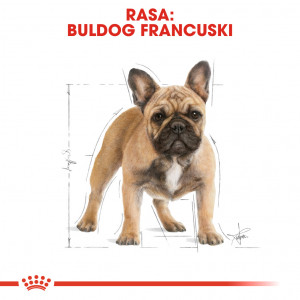ROYAL CANIN French Bulldog Adult karma sucha dla psów dorosłych rasy buldog francuski