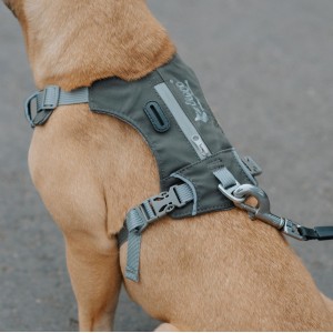 DINGO Szelki Super Lekkie - szare