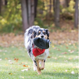 KONG Extreme Flyer - Frisbee