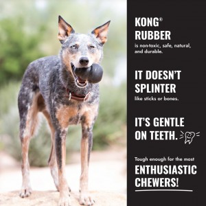 KONG Extreme Flyer - Frisbee