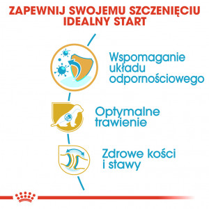 ROYAL CANIN German Shepherd Puppy karma sucha dla szczeniąt do 15 miesiąca, rasy owczarek niemiecki