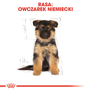 ROYAL CANIN German Shepherd Puppy karma sucha dla szczeniąt do 15 miesiąca, rasy owczarek niemiecki