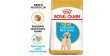 ROYAL CANIN BHN Labrador Retriever Puppy 12kg PROMO 2 Uszkodzenie