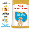 ROYAL CANIN BHN Labrador Retriever Puppy 12kg PROMO 2 Uszkodzenie