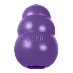 KONG Senior