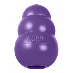 KONG Senior