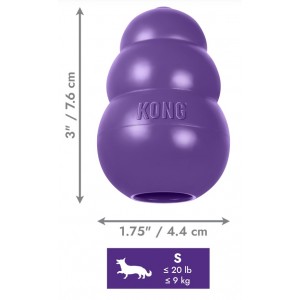 KONG Senior
