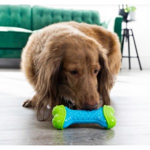 KONG CoreStrength Bone